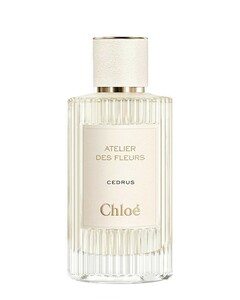 Chloe Cedrus