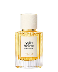Chloe Cedrus Intense