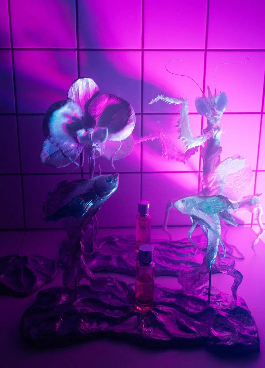 Презентация аромата Fakoshima Secret Venue — Москва, 03.11.2025